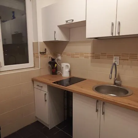 Expo Apartment Surcin